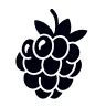 berry flavor icon
