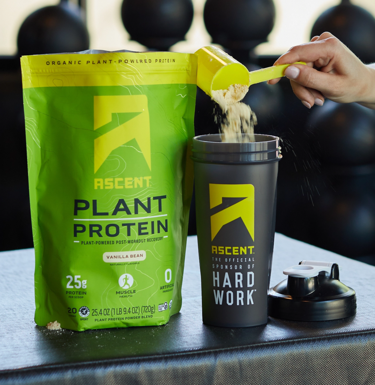 1lb bag vanilla vegan protein powder