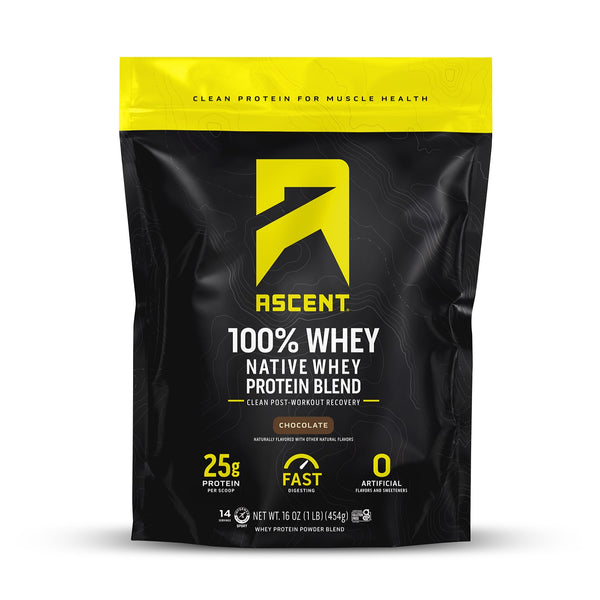 Chocolate Protein Powder