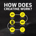 Diagram explaining how creatine works with ATP and ADP on a black background