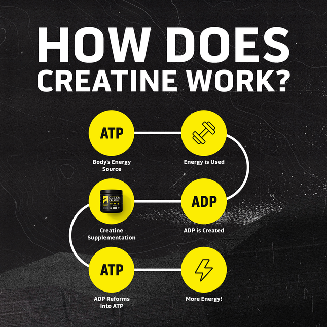Creatine | Ascent Protein