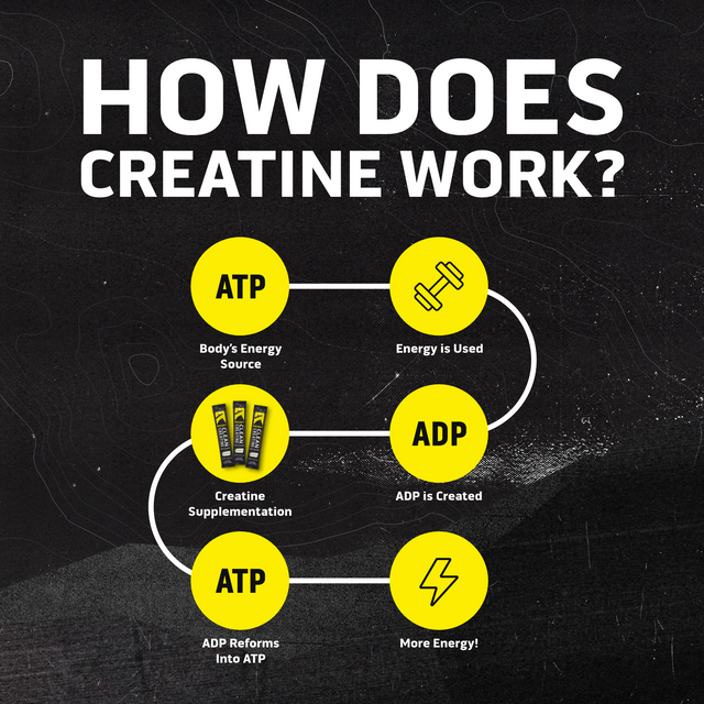 Diagram explaining how creatine works with ATP and ADP on a black background