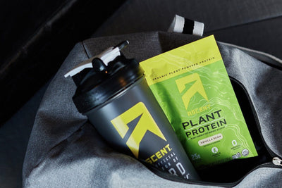 protein powder samples and a blender bottle in a gym bag