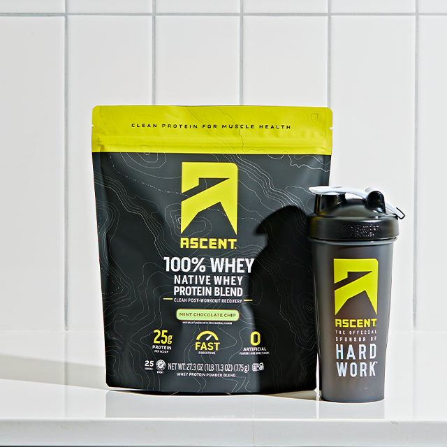 1lb bag mint chocolate chip protein powder