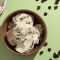 mint chip ice-cream made with mint chocolate chip protein powder