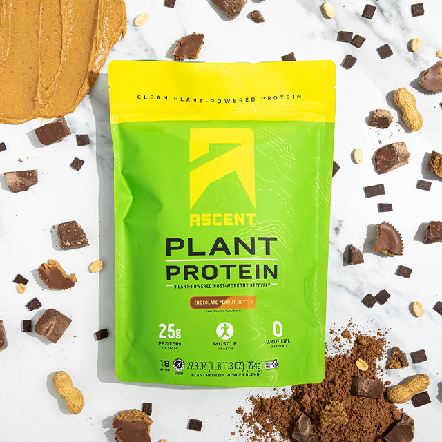 plant based vegan protein powder in chocolate peanut butter in a 1lb bag